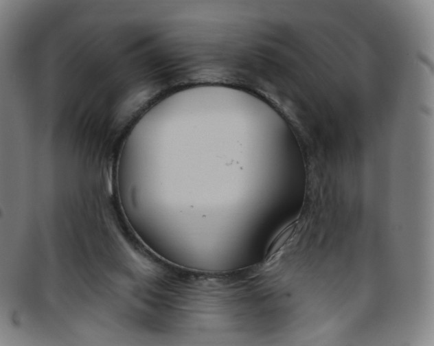 X0000097470062200803071703