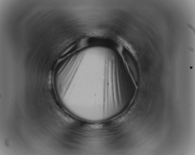 X0000097470065200803071703