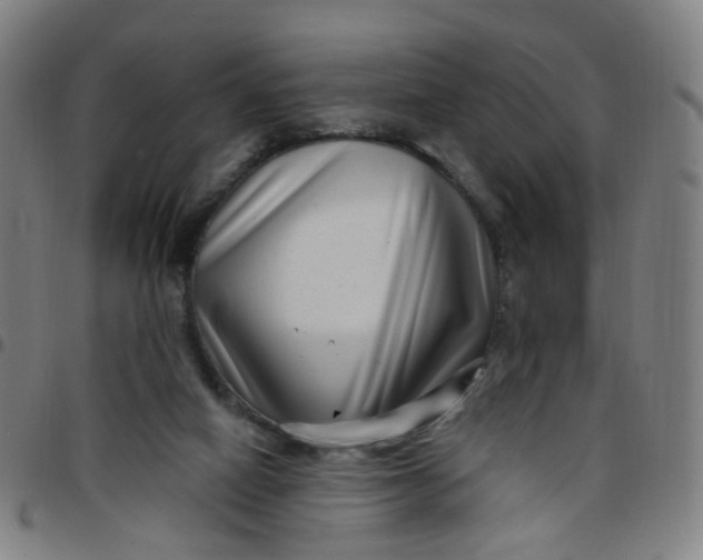 X0000097470066200803071703