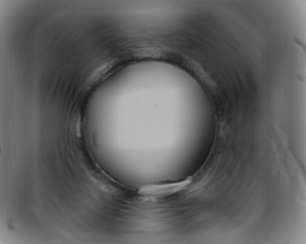 X0000097470068200803071703