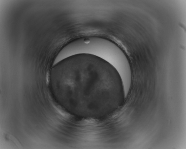 X0000097470069200803071703
