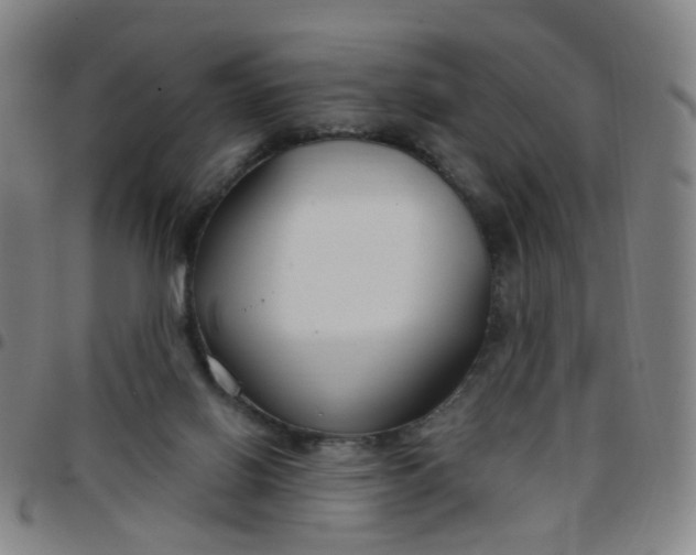 X0000097470070200803071703