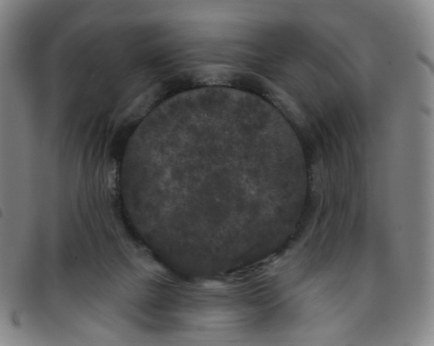 X0000097470073200803071703