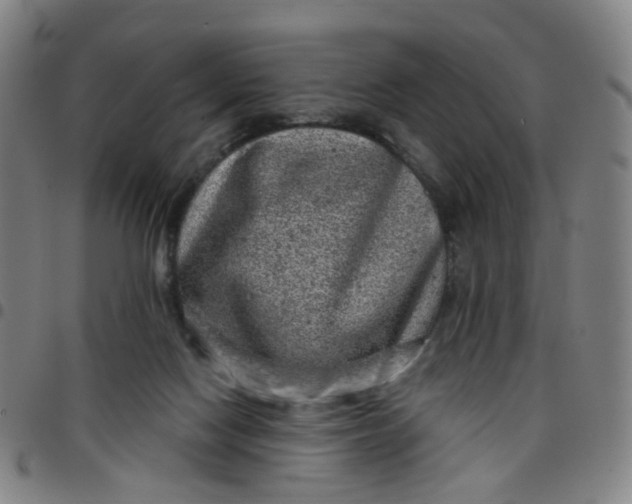 X0000097470074200803071703