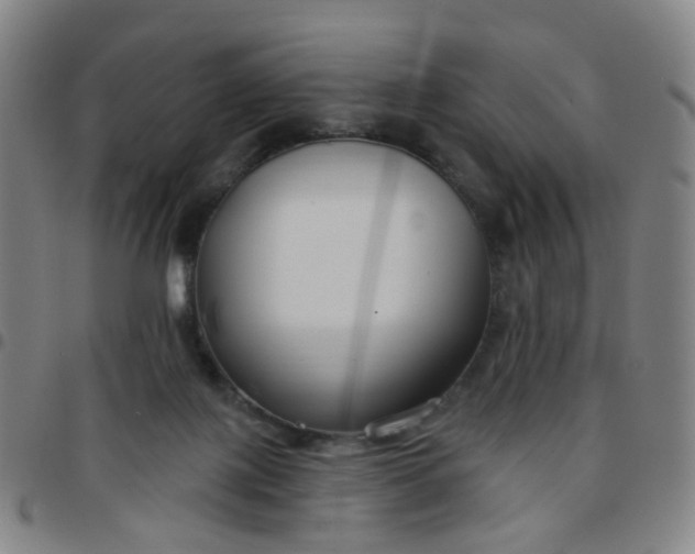 X0000097470075200803071703