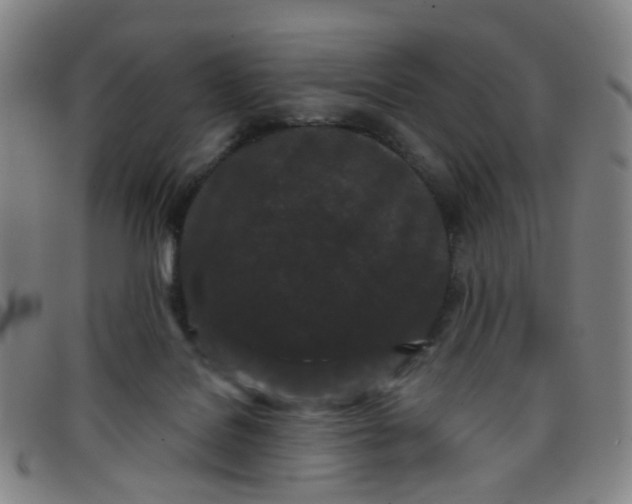 X0000097470076200803071703
