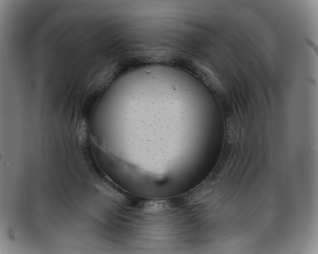 X0000097470077200803071703