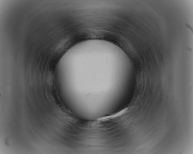 X0000097470078200803071703