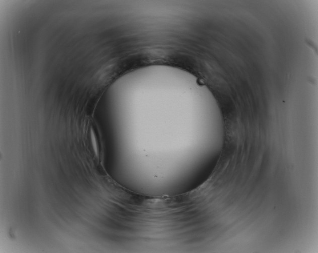 X0000097470082200803071703