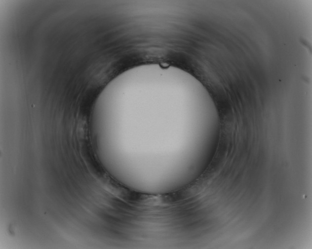 X0000097470083200803071703