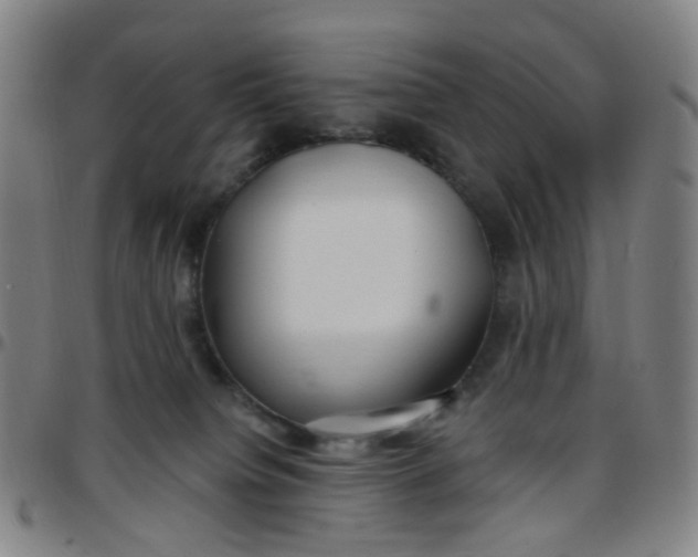 X0000097470084200803071703