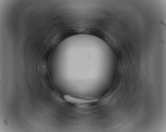 X0000097470085200803071703
