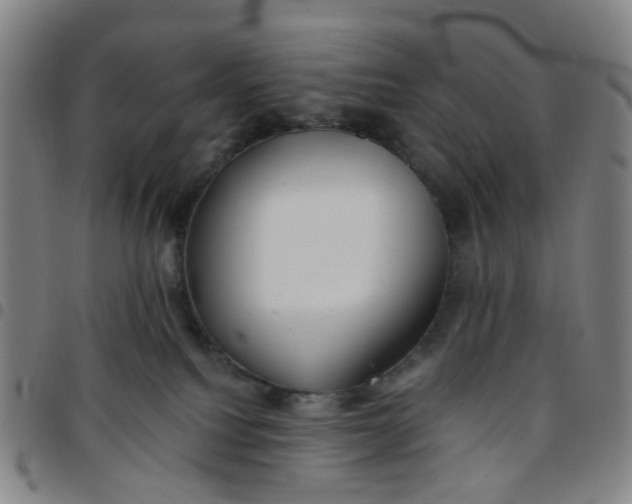 X0000097470088200803071703