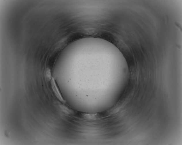 X0000097470089200803071703