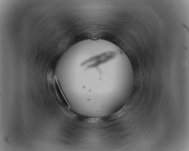 X0000097470090200803071703