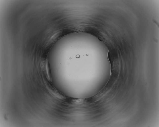 X0000097470092200803071703