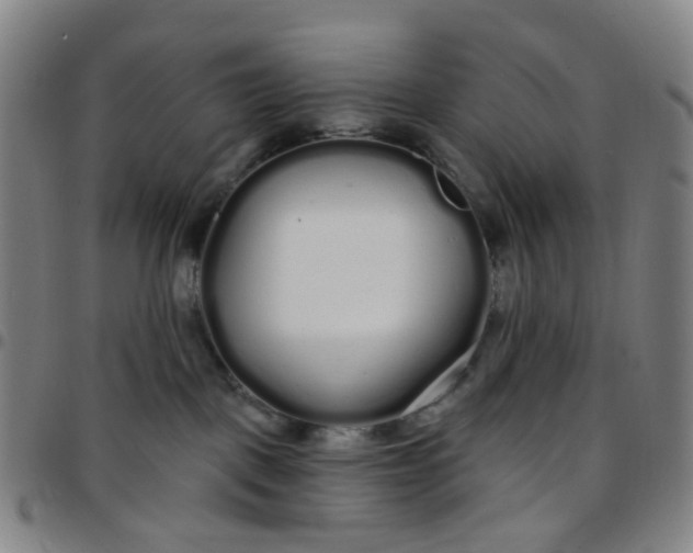 X0000097470093200803071703