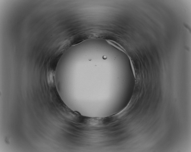 X0000097470094200803071703