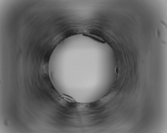 X0000097470096200803071703