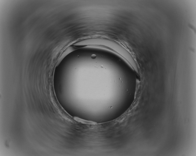 X0000097470097200803071703