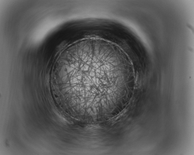 X0000097470099200803071703