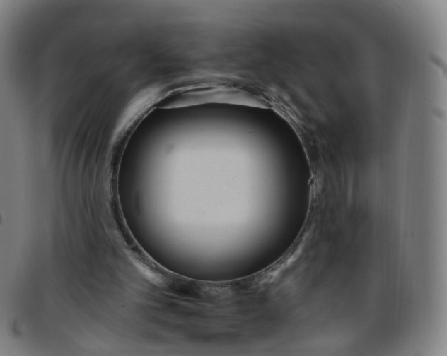 X0000097470101200803071703