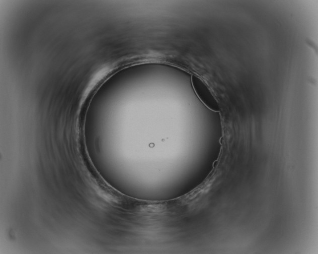 X0000097470102200803071703