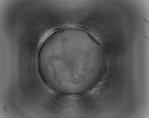 X0000097470103200803071703