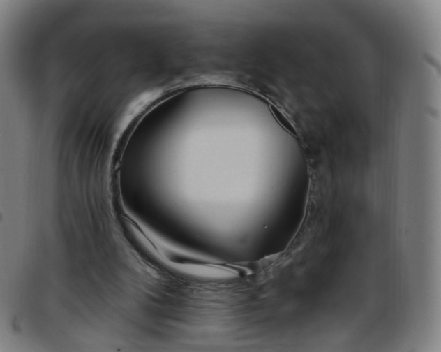 X0000097470104200803071703