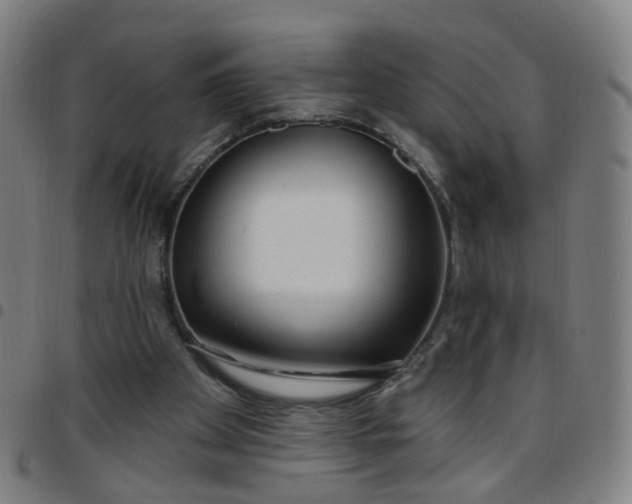 X0000097470105200803071703