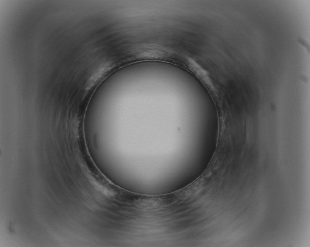 X0000097470106200803071703
