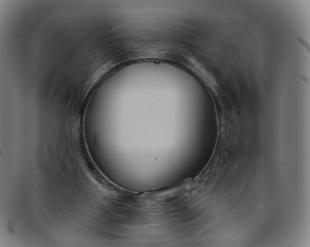 X0000097470107200803071703
