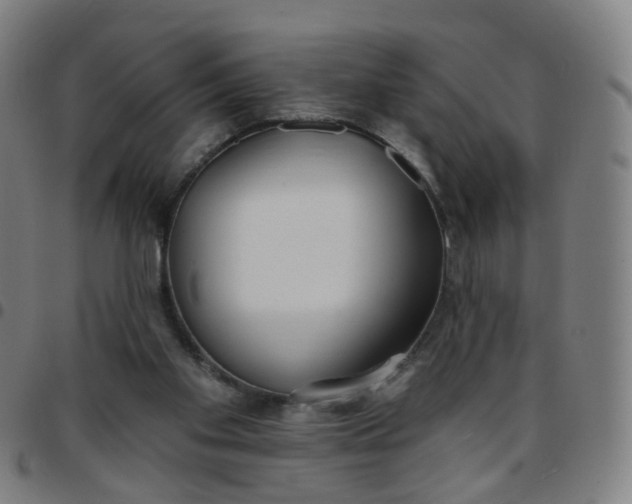 X0000097470109200803071703