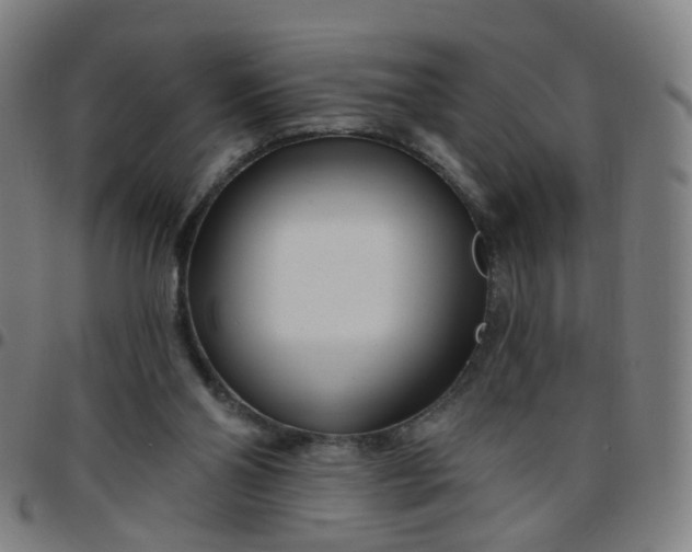 X0000097470110200803071702
