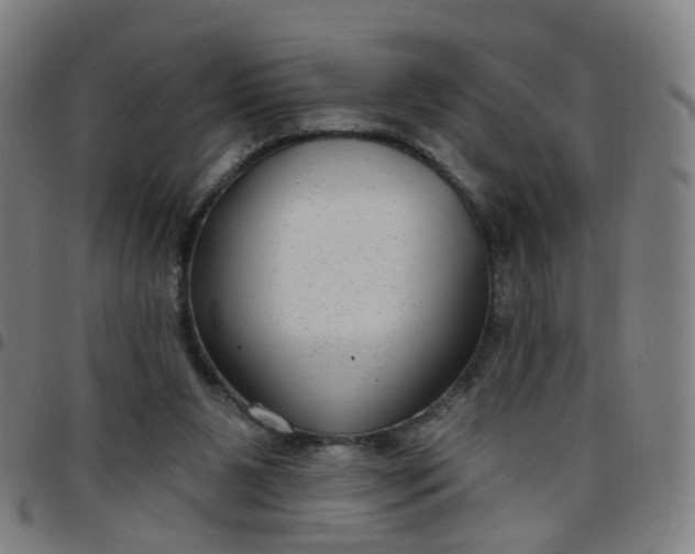 X0000097470111200803071702