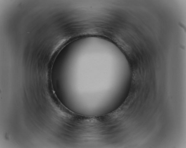 X0000097470112200803071702
