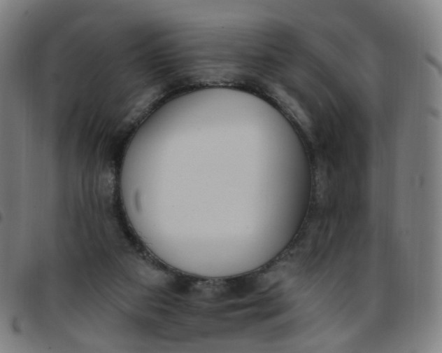 X0000097470113200803071702