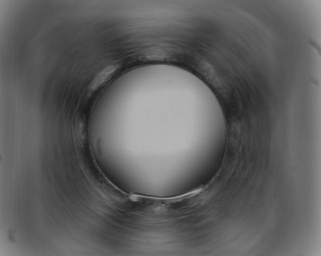 X0000097470116200803071702