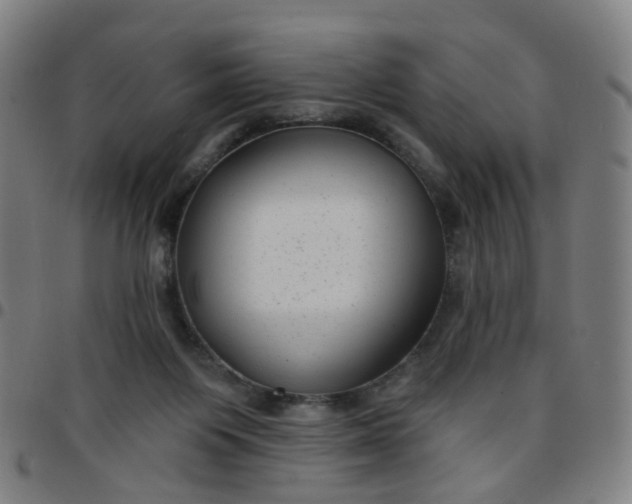 X0000097470119200803071702