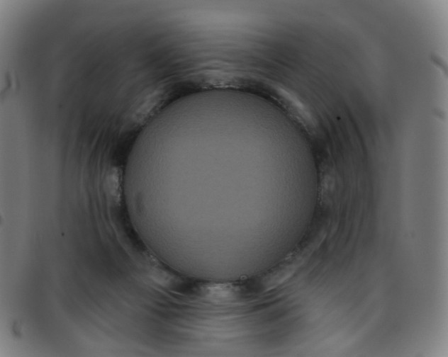 X0000097470121200803071702