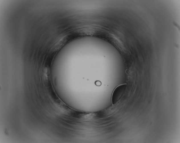 X0000097470122200803071702