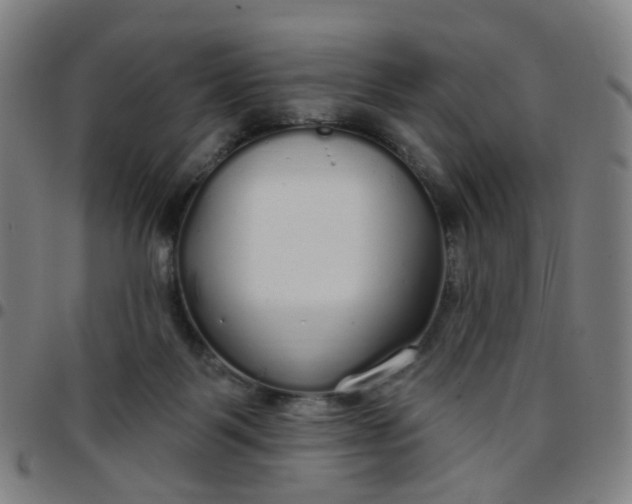 X0000097470123200803071702