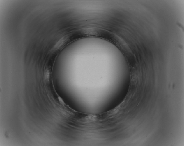 X0000097470124200803071702