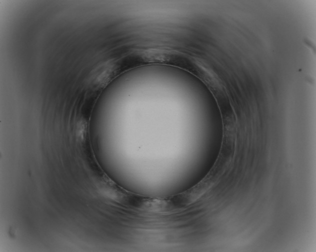 X0000097470125200803071702