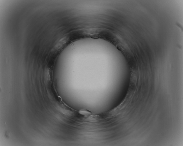 X0000097470128200803071702