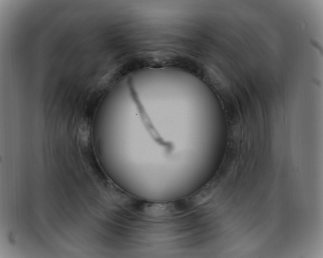 X0000097470129200803071702