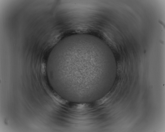 X0000097470130200803071702