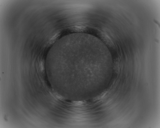 X0000097470131200803071702