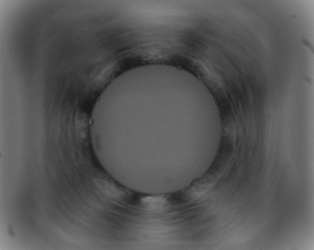 X0000097470133200803071702