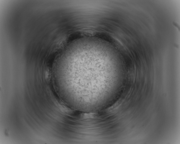 X0000097470134200803071702